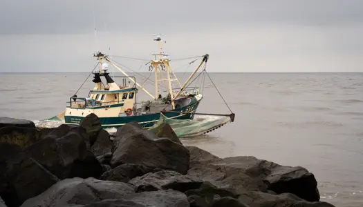 Bundtrawl skader naturen i havet 